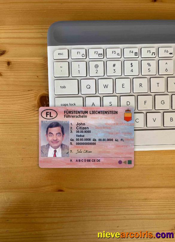 Liechtenstein driving license photolook